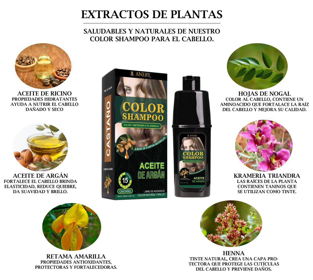 COLOR SHAMPOO
