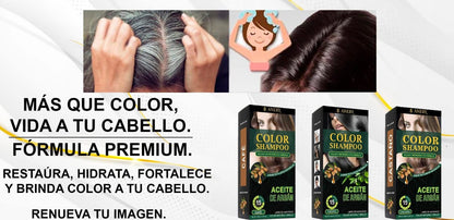 COLOR SHAMPOO